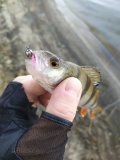 IMG_20250310_083128.jpg
