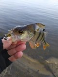 IMG_20250310_091100.jpg