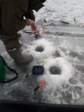 IMG_20250311_164526.jpg