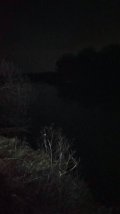 IMG_20250310_200255.jpg