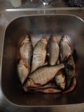 IMG_20250311_204648.jpg