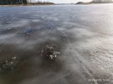 IMG_20250309_164640.jpg