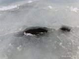 IMG_20250309_165459.jpg