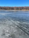 IMG_2430.jpeg
