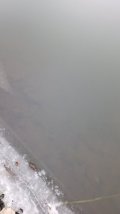 IMG-20250312-WA0026.jpeg