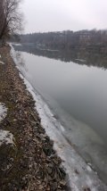 IMG-20250312-WA0022.jpeg