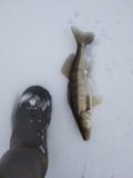 IMG_20250303_101137.jpg