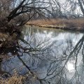 20250314_105428.jpg