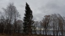 20250314_151245.jpg