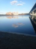 IMG_20250315_170852.jpg