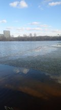 IMG-20250315-WA0006.jpeg