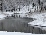 IMG_3151.jpeg