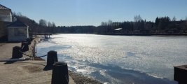 IMG_20250316_130830.jpg