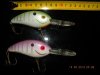 Bomber Fat Free Shad BD7F.jpg