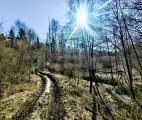 IMG_20250316_162604.jpg