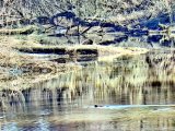 IMG_20250316_162500.jpg