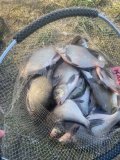 IMG_2536.jpeg