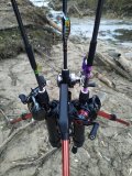 IMG_20250317_064954.jpg