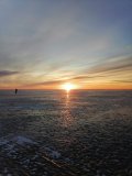 IMG_20250317_062419.jpg
