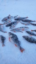 IMG_20230317_171820.jpg