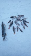 IMG_20230317_180137.jpg