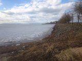 IMG_20250318_161410.jpg