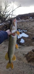IMG_20250318_152503.jpg