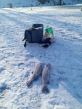 IMG_20250319_081838_039.jpg