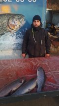 IMG-20250319-WA0014.jpg
