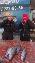 IMG-20250319-WA0016.jpg