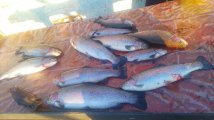 IMG-20250320-WA0031.jpg