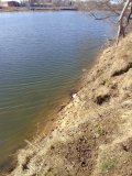 IMG_20250320_125553.jpg