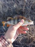 IMG_20250320_105829.jpg