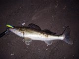 IMG_20250320_205154.jpg