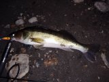 IMG_20250320_204012.jpg