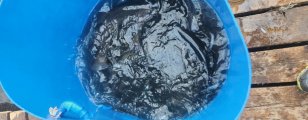 20250321_080136.jpg