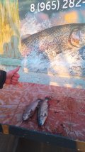 IMG-20250321-WA0077.jpg