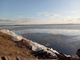 IMG_20250321_174449.jpg