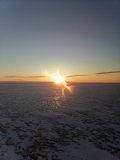 IMG_20250320_061901.jpg