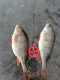 IMG_20250321_162953.jpg