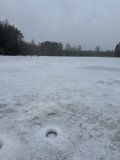 IMG_7923.jpeg