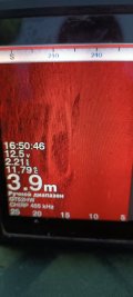 IMG_20241016_165048.jpg
