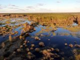 DJI_0627.jpg