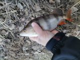 IMG_20250322_092208.jpg