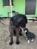 IMG_3746.jpeg