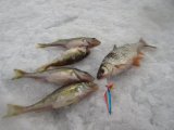 IMG_0523.JPG