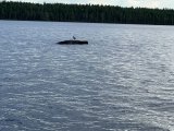 IMG_0516.jpg