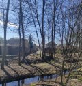 IMG_20250323_145124.jpg