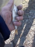 IMG_20250323_134511.jpg