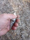 IMG_20250323_163228.jpg